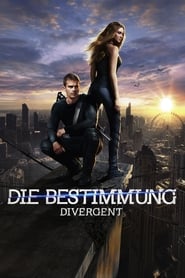 Die.Bestimmung.Divergent.2014.German.DTSHD.Dubbed.DL.2160p.UHD.BluRay.DV.HDR.HEVC.Remux-QfG