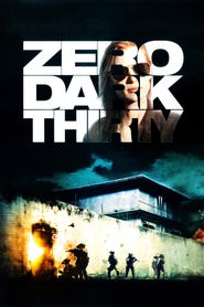 Zero.Dark.Thirty.2012.German.Dubbed.DTS.DL.2160p.UHD.BluRay.HDR.HEVC.Remux-NIMA4K