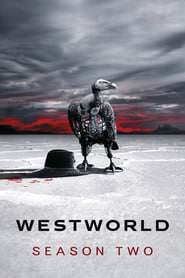 Westworld.S02.German.AC3.DL.2160p.UHD.BluRay.HDR.HEVC.Remux-NIMA4K