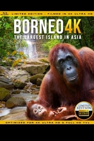 Borneo.Faszination.Asien.2016.DUAL.COMPLETE.UHD.BLURAY-NIMA4K