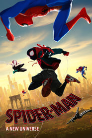 Spider-Man.A.New.Universe.2018.German.AC3D.DL.2160p.UHD.BluRay.HDR.x265-NIMA4K