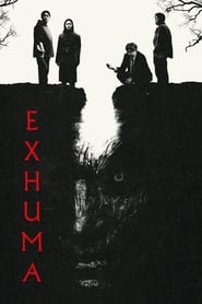 Exhuma.2024.German.DTSHD.Dubbed.ML.2160p.UHD.BluRay.DV.HDR.HEVC.Remux-QfG