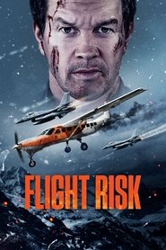 Flight.Risk.2025.German.DL.2160p.UHD.BluRay.DV.HDR10Plus.HEVC.Hybrid.Remux-QfG