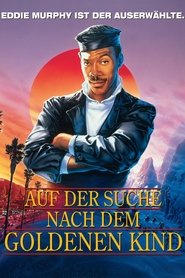 Auf.der.Suche.nach.dem.goldenen.Kind.1986.German.DTSHD.Dubbed.DL.2160p.UHD.BluRay.DV.HDR10Plus.HEVC.Hybrid.Remux-QfG
