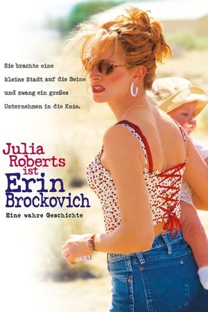 Erin.Brockovich.2000.OM.German.THD.Dubbed.DL.2160p.UHD.BluRay.DV.HDR.HEVC.Remux-QfG