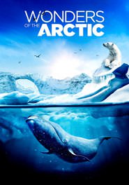 Wonders.of.the.Arctic.2014.DOCU.DUAL.COMPLETE.UHD.BLURAY-PRECELL