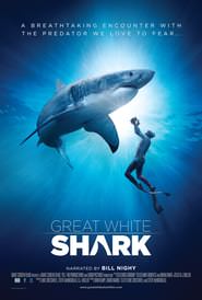 IMAX.Great.White.Shark.2013.German.Subbed.2160p.UHD.BluRay.SDR.HEVC.Remux-NIMA4K