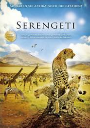Serengeti.2011.German.DTSHD.DL.2160p.UHD.BluRay.SDR.HEVC.Remux-NIMA4K