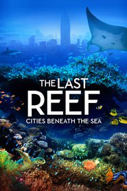 The.Last.Reef.2012.DOCU.DUAL.COMPLETE.UHD.BLURAY-NIMA4K